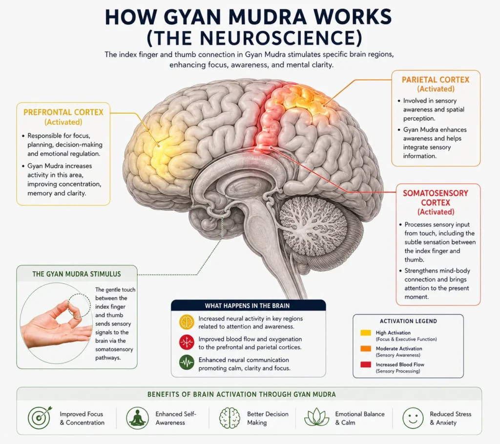 Gyan Mudra