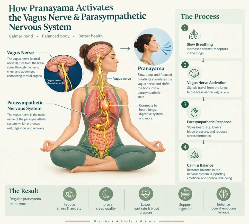 Pranayama Yoga
