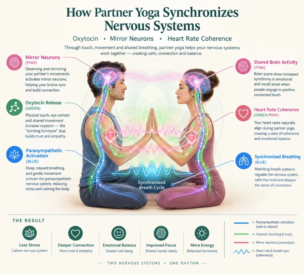 Partner Yoga Poses for Couples